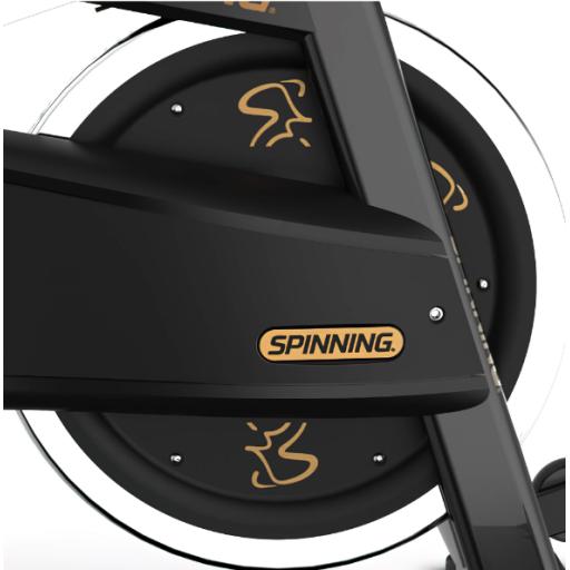 SPINNER PRO 7.png