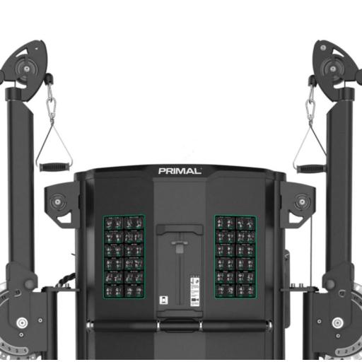 Dual Arm Functional Trainer - 5.jpg