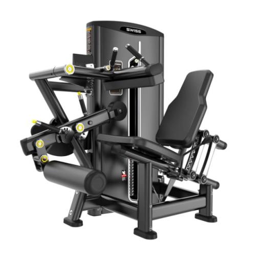 Swiss Seated Leg Curl